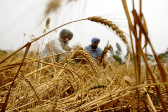 India’s new plan to shield farmers from global chaos